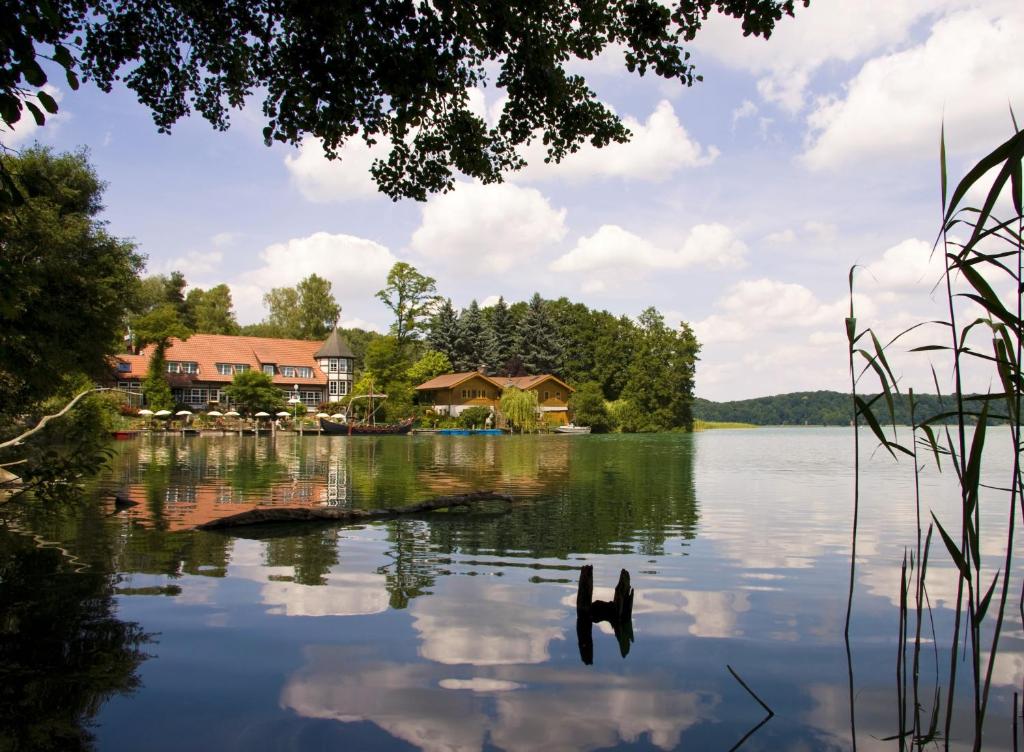 a view of a lake with houses and trees at Romantischer Seegasthof & Hotel Altes Zollhaus in Feldberg