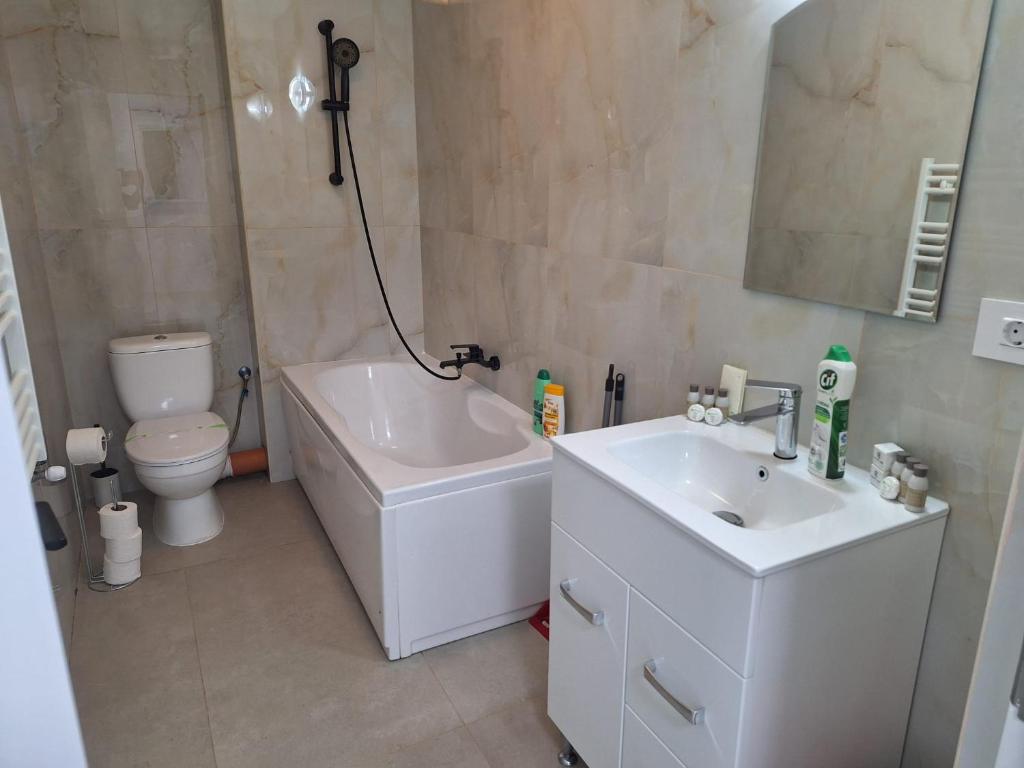 Sir Fundeni Hotel - Resim 11