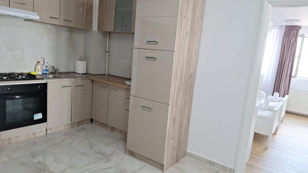 Sir Fundeni Hotel - Resim 5