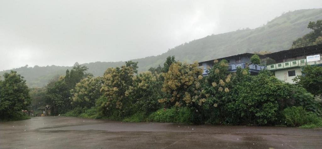 a group of trees in front of a building at A R Regency in Mahabaleshwar