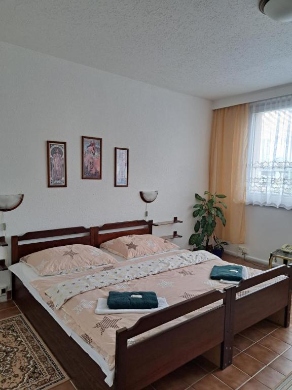 Hotel Milotel - Resim 10