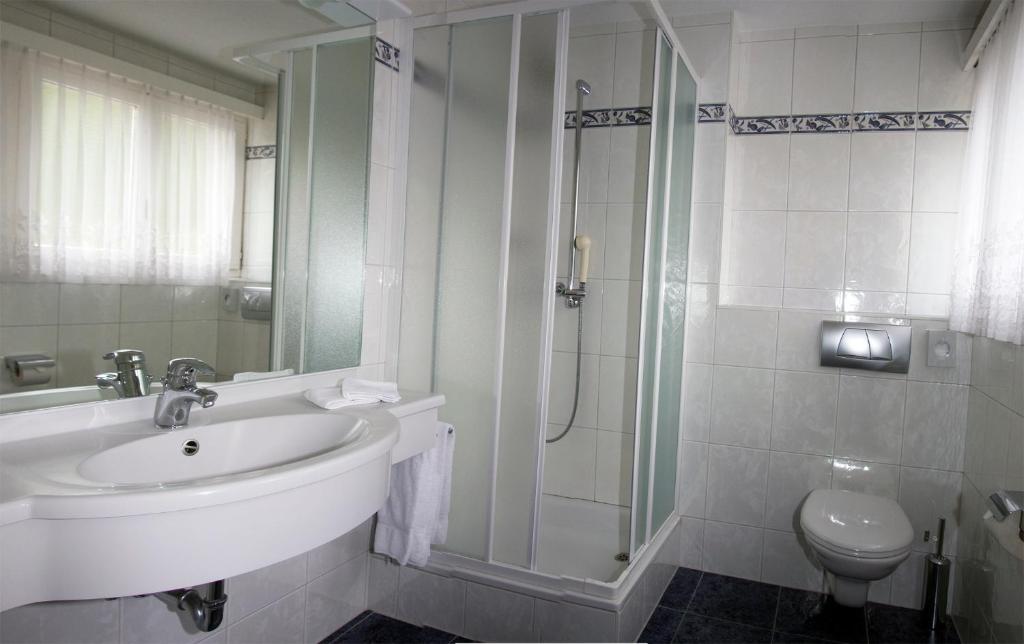 Koupelna v ubytování Hotel Alpha