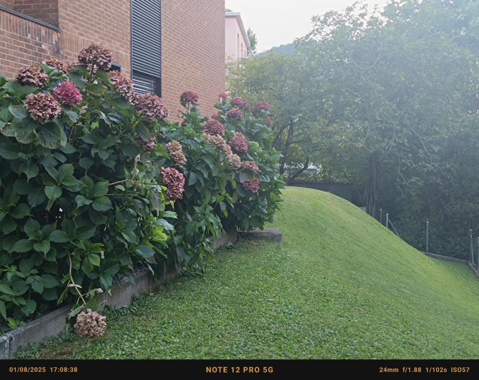 Da GianFi Lugano-Pregassona - Stanza privata - Resim 17