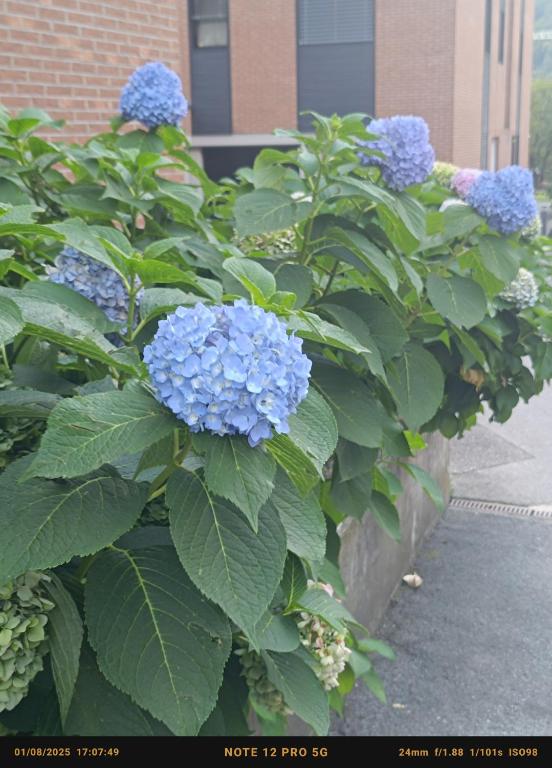 Da GianFi Lugano-Pregassona - Stanza privata - Resim 18