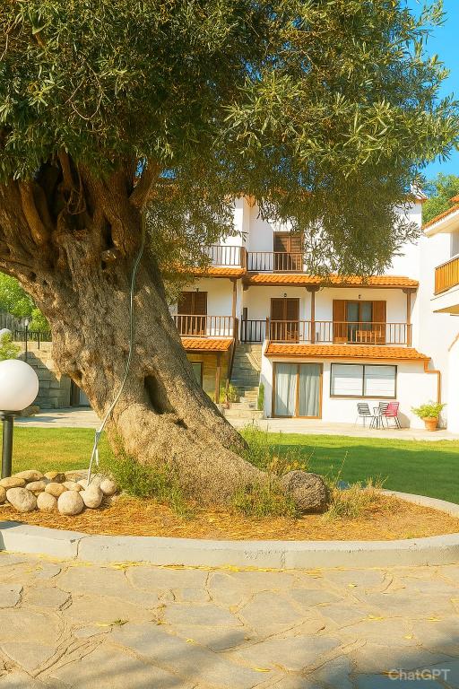 a large tree in front of a building at Seaside Athos I in Ouranoupoli