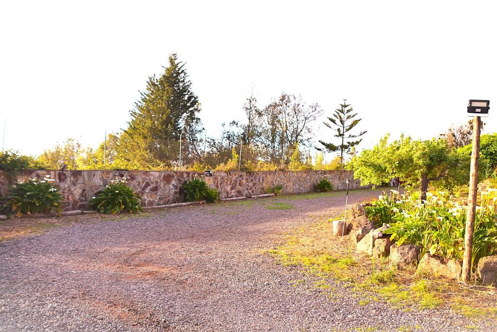 Casa Rural La Gustoza - 10