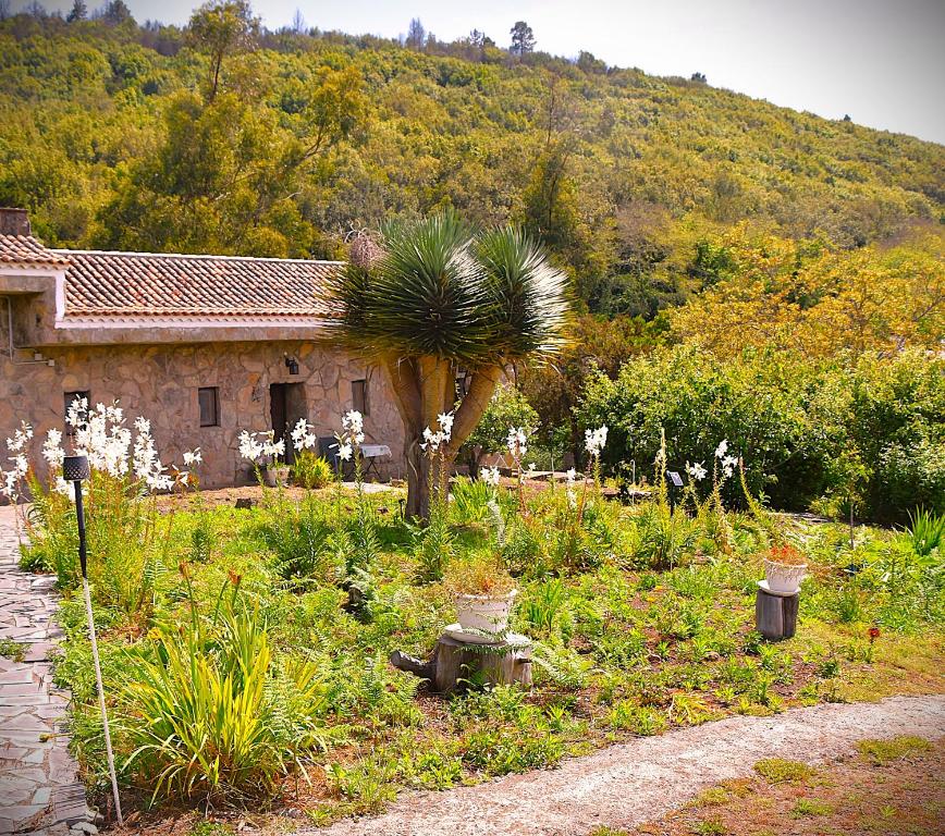 Casa Rural La Gustoza - 19