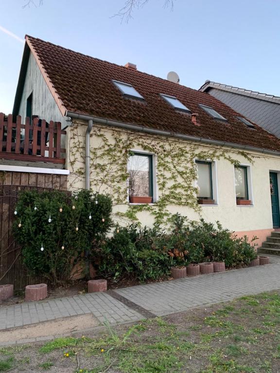 ein Steinhaus mit Blumen davor in der Unterkunft Finca Sommerfeld 2-Zimmerhaus mit Terrasse und Garten in Kremmen