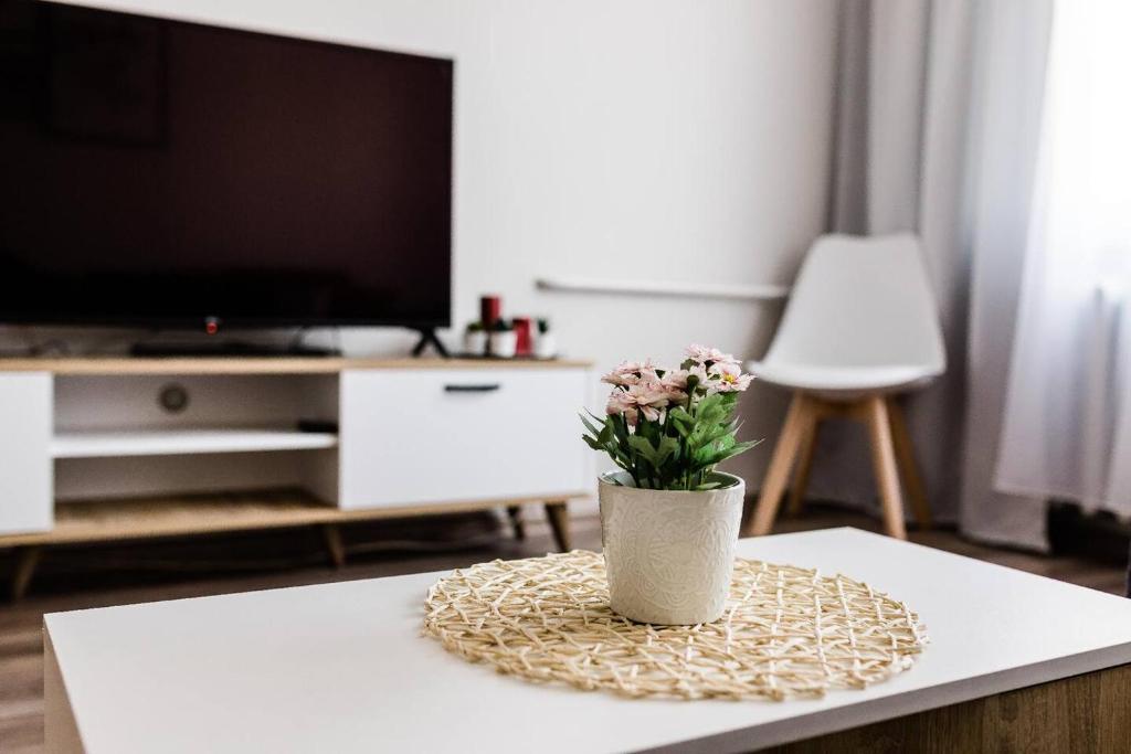 TV a/nebo společenská místnost v ubytování Scandinavian Inspired Design