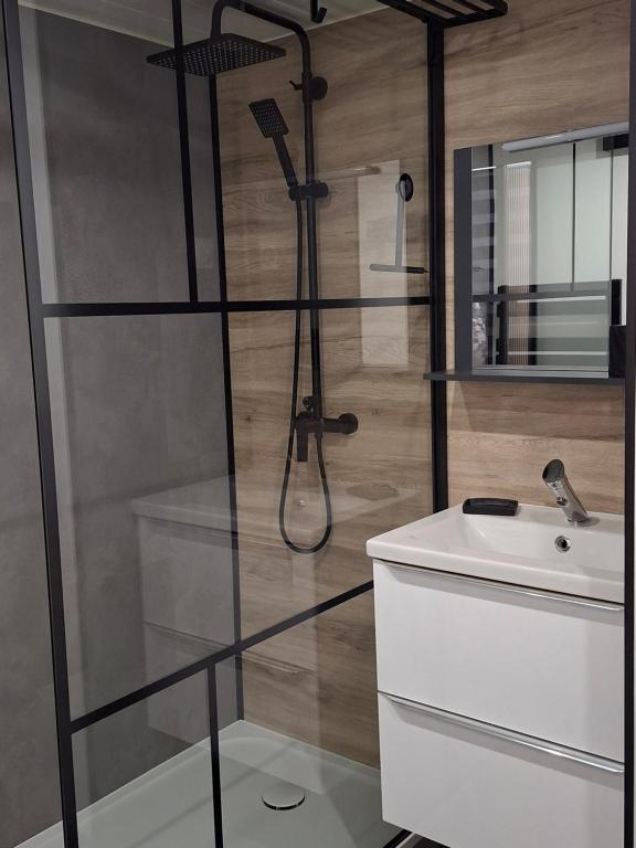 a bathroom with a shower and a sink at Appartement neuf proche Nantes avec parking in Carquefou
