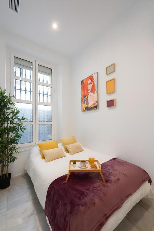 Private House Cathedral Terrace - 11