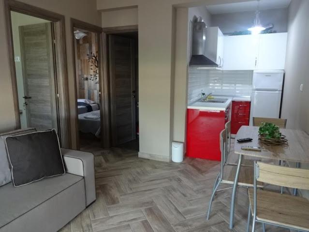 Kuchyň nebo kuchyňský kout v ubytování Simon Prince Prive