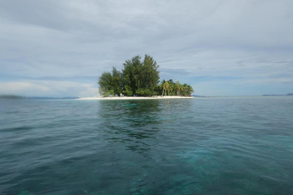 Příroda nedaleko kempu