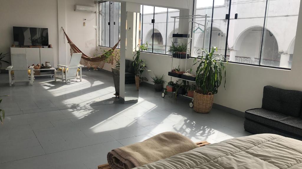 ein Wohnzimmer mit Topfpflanzen und einem Sofa in der Unterkunft Matony in La Playa Bejarano