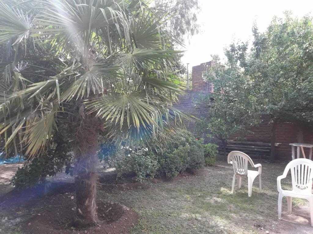 dos sillas y una palmera en un patio en El descanso, en Pantanillo