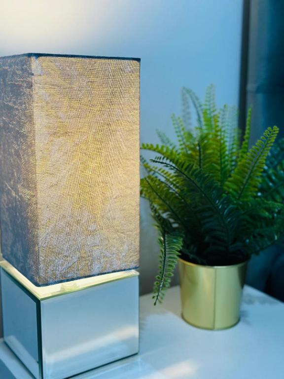 a potted plant sitting on a table next to a speaker at Cosy Rooms in London