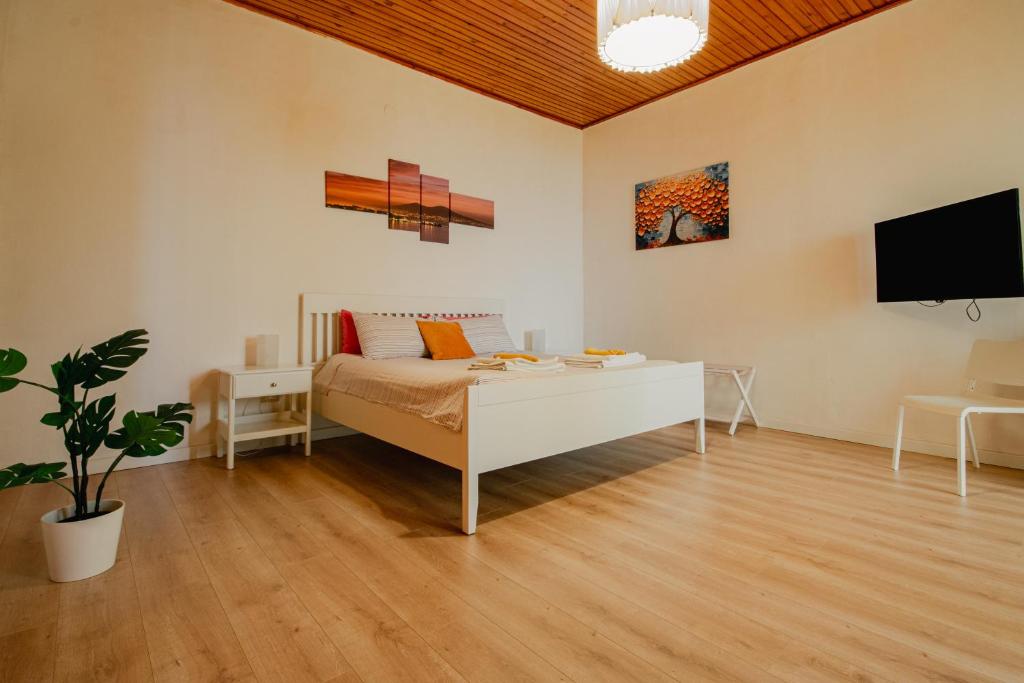 Casa Tiestito
