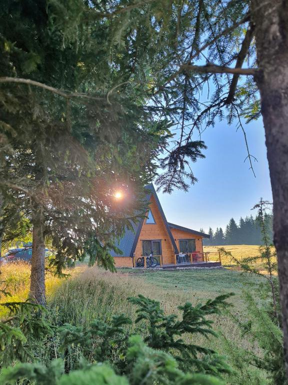 a cabin in the middle of a field with trees at Vila Vida in Žabljak