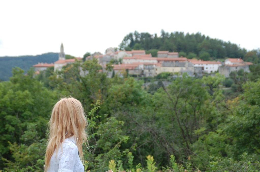 Eine Frau, die auf einem Hügel steht und eine Stadt ansieht. in der Unterkunft Stanjel Carst House 13 Andreja in Štanjel