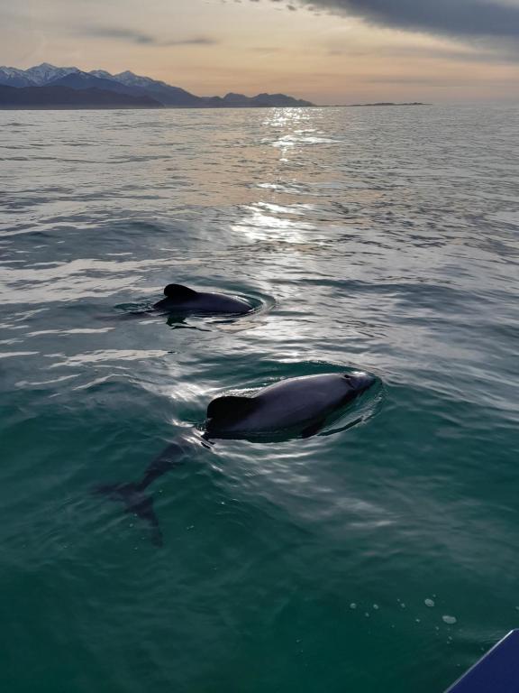 Dover Terrace - Resim 20