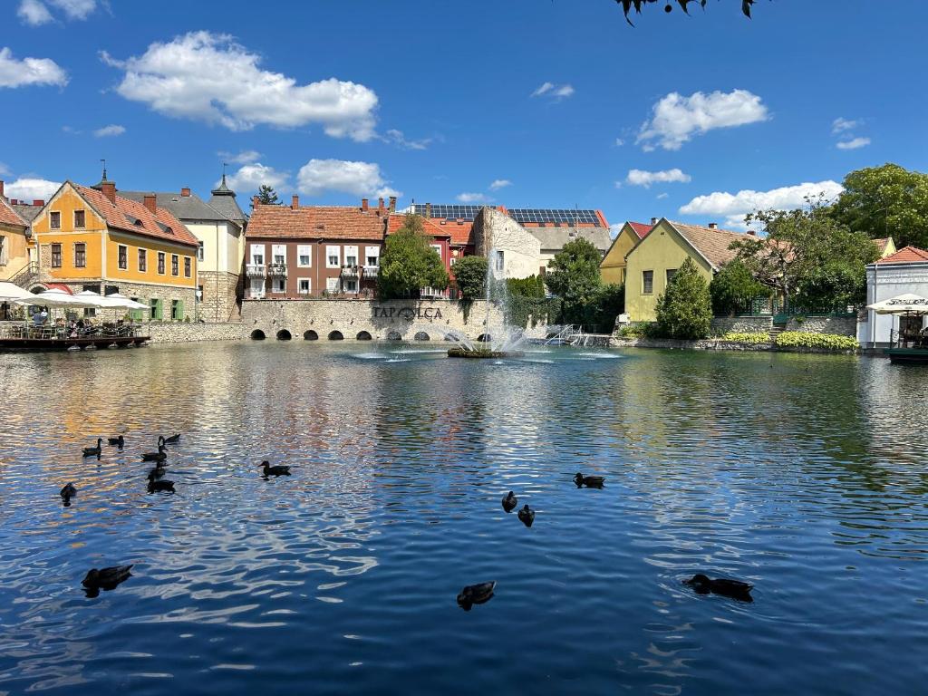 Fotografie z fotogalerie ubytování Mónika Apartman (Tapolca) v destinaci Tapolca