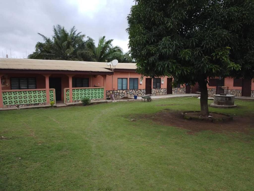 a building with a tree in front of it at Quiet and Secure House, Hohoe in Hohoe