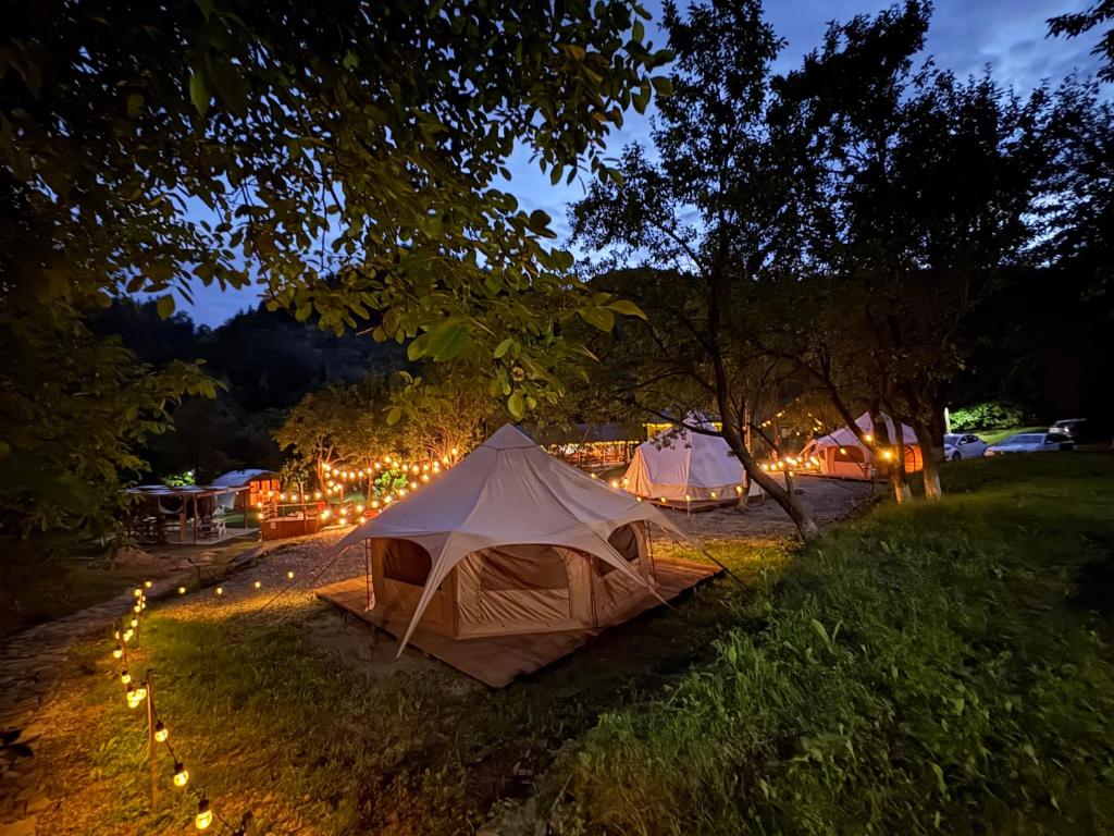 a tent in a field at night with lights at Alunis GLAMPING in Aluniş
