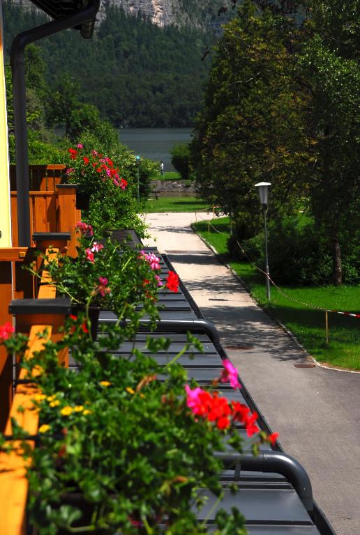 Apartements Wallner - 5