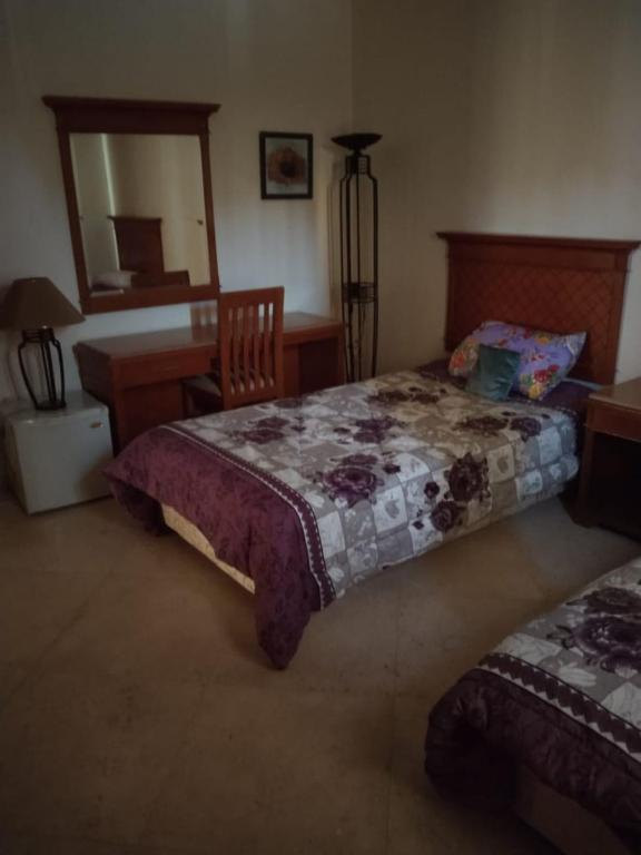 a bedroom with a bed and a desk and a mirror at Amwaj hotel in Alexandria