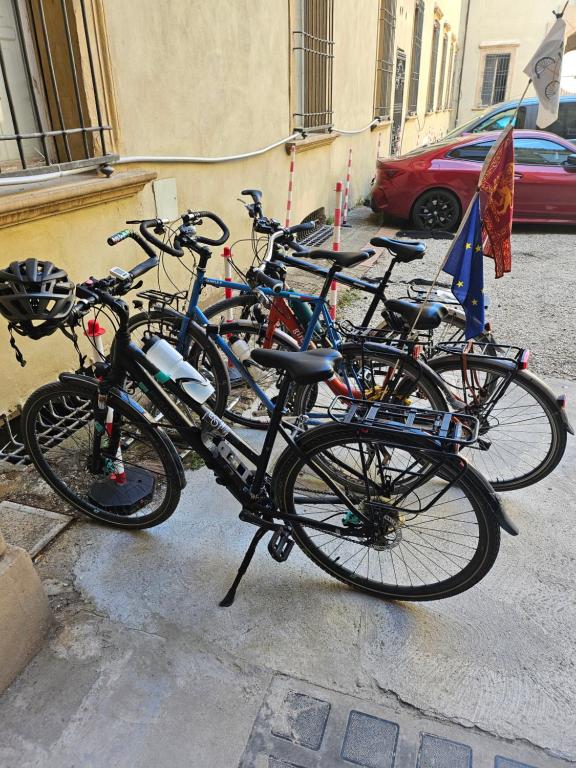 Hotel San Donato - Bologna centro - Resim 15