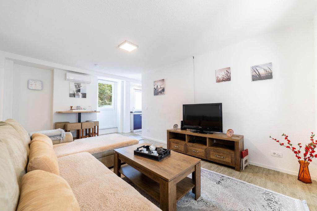 サラエボにあるFerhadija Residence 2-Bedroom Design apartment - Main streetのソファとテレビのあるリビングルーム