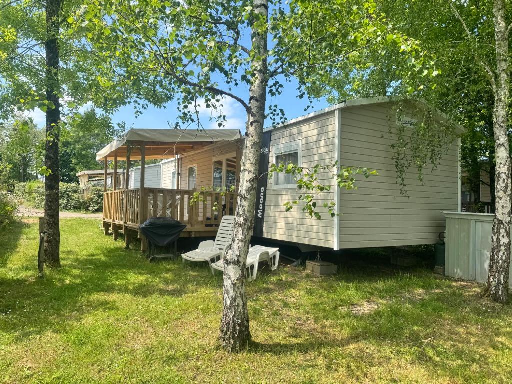 a tiny house in the woods with a tree at Le Dugny'tique, un endroit fantastique ! in Onzain