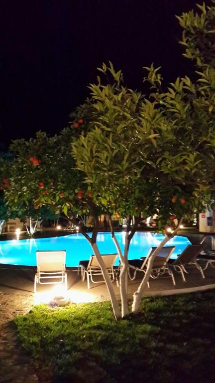 Bazén v ubytování Meis Hotel nebo v jeho okolí