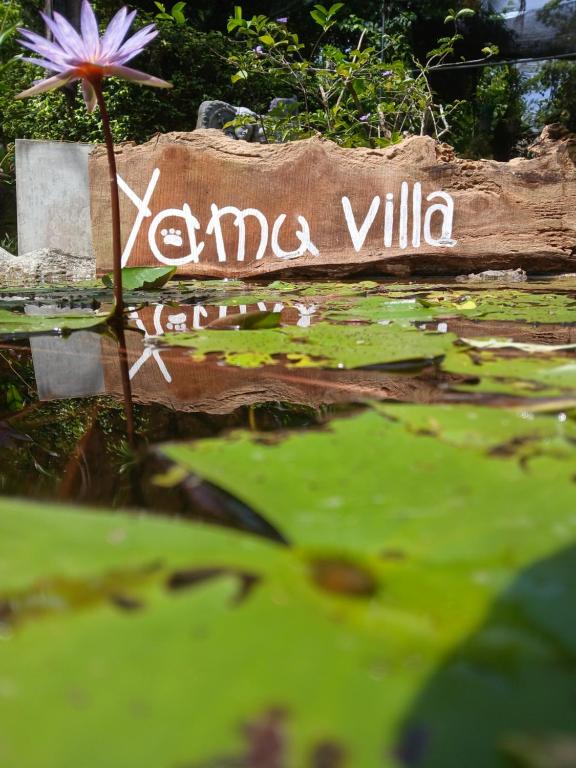 Κήπος έξω από το Yamu Villa