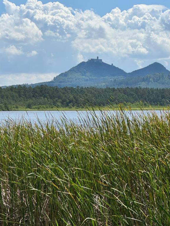 a large body of water with a mountain in the background at Chata Hugo in Česká Lípa