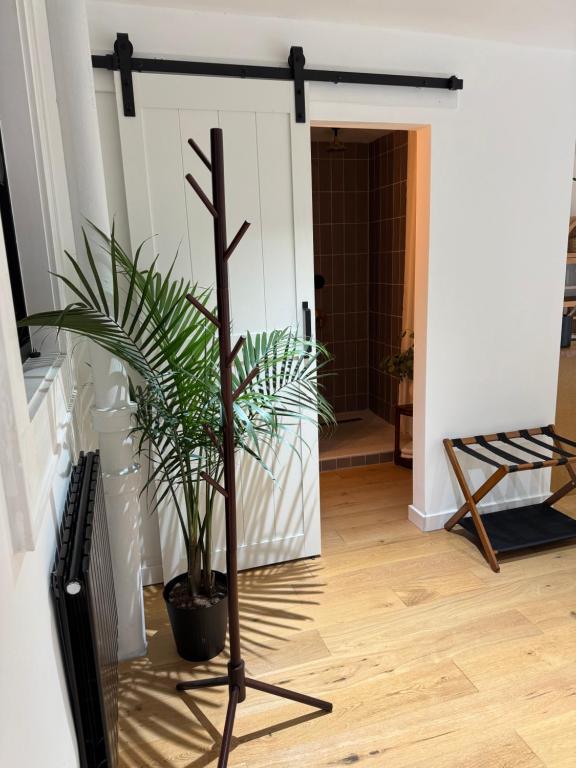 Imagen de la galería de Brooklyn Hideaway, en Brooklyn