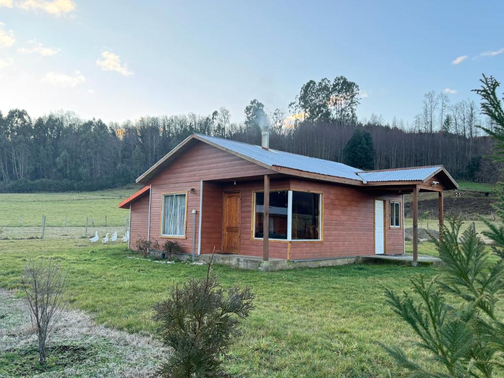 a small house in the middle of a field at Cabaña Pueblo Hundido in Futrono
