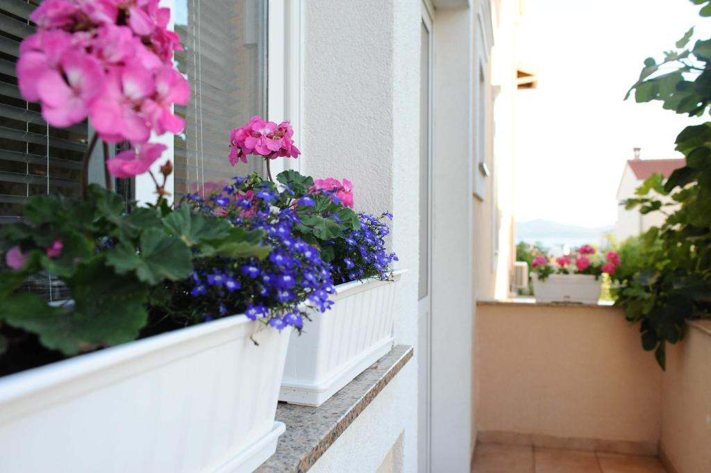 Zahrada ubytování Apartment Ana