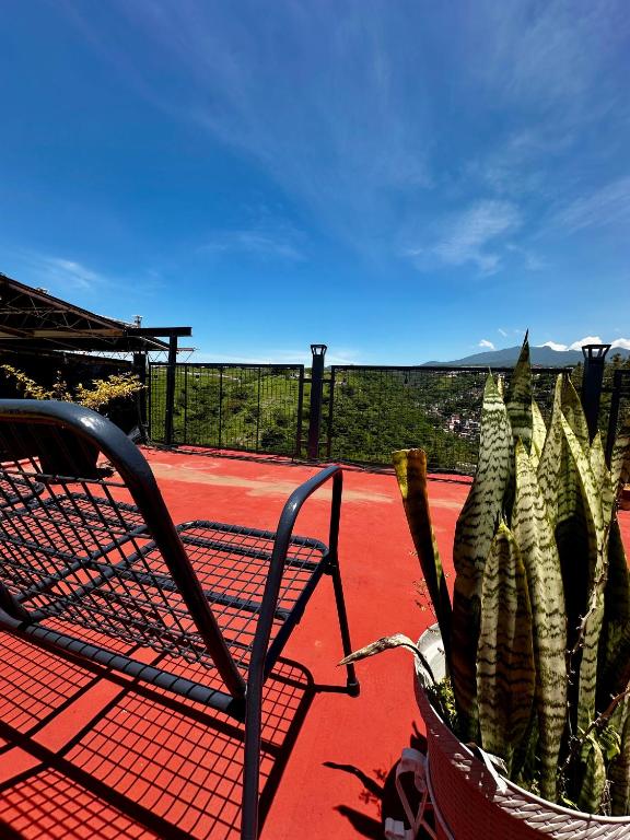 a plant in a basket next to a chair at Silencio y naturaleza en Cuernavaca in Cuernavaca