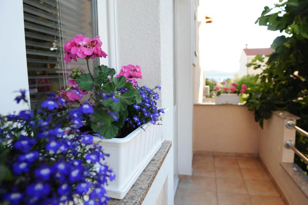 Zahrada ubytování Apartment Ana
