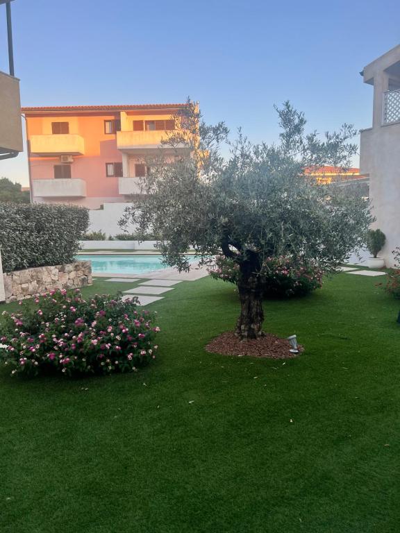 een boom in het midden van een tuin met bloemen bij Appartamento Sardinia Escape in residence - Palau in Palau