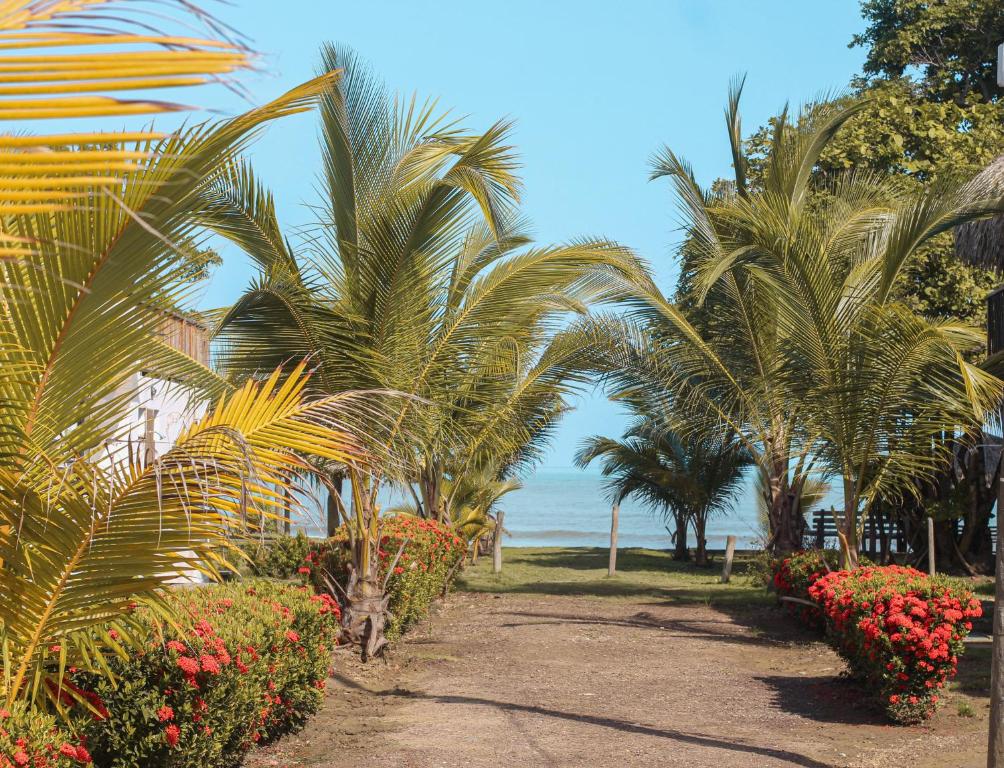 Fotografie z fotogalerie ubytování Casa Wairua v destinaci La Rada