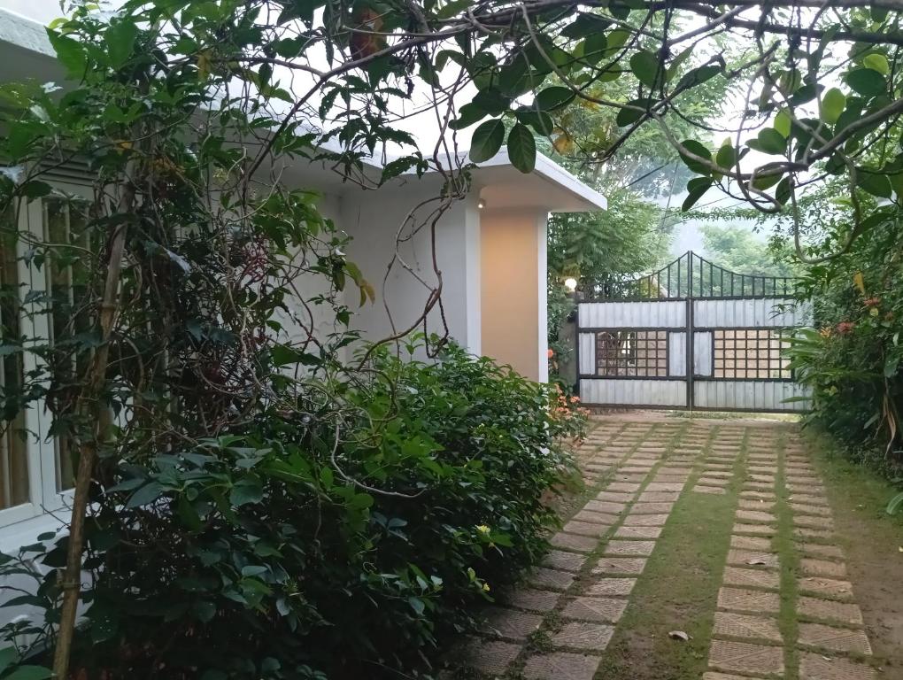 Κήπος έξω από το Ella Relax Inn