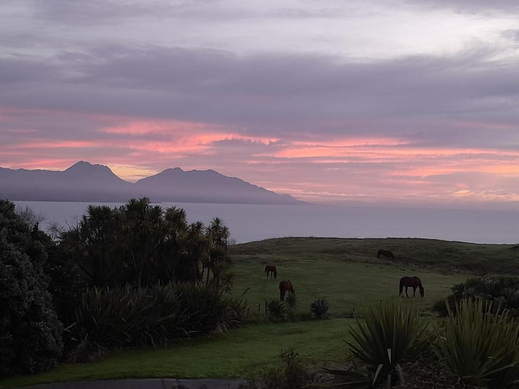 Dover Terrace - Resim 31