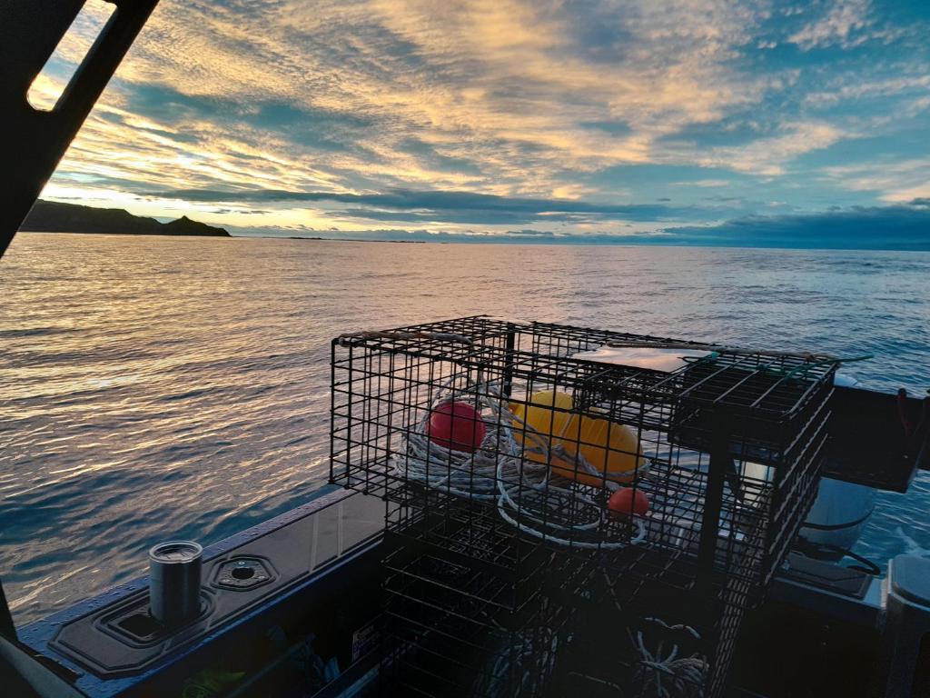 Dover Terrace - Resim 33