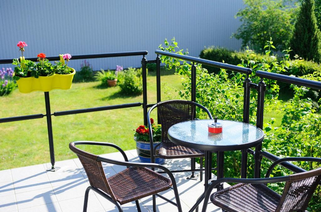 Zahrada ubytování Fortuna Apartments