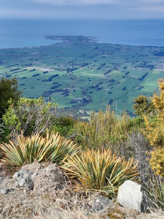 Dover Terrace - Resim 36