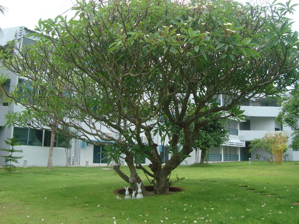 Addera Residence Hua Hin - Resim 25