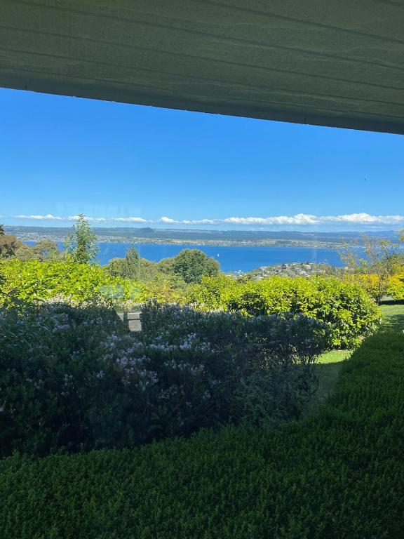 Breathtaking views of Lake Taupo - Resim 19