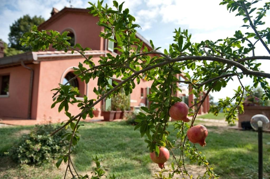 Zahrada ubytování Podere Chiaromonte